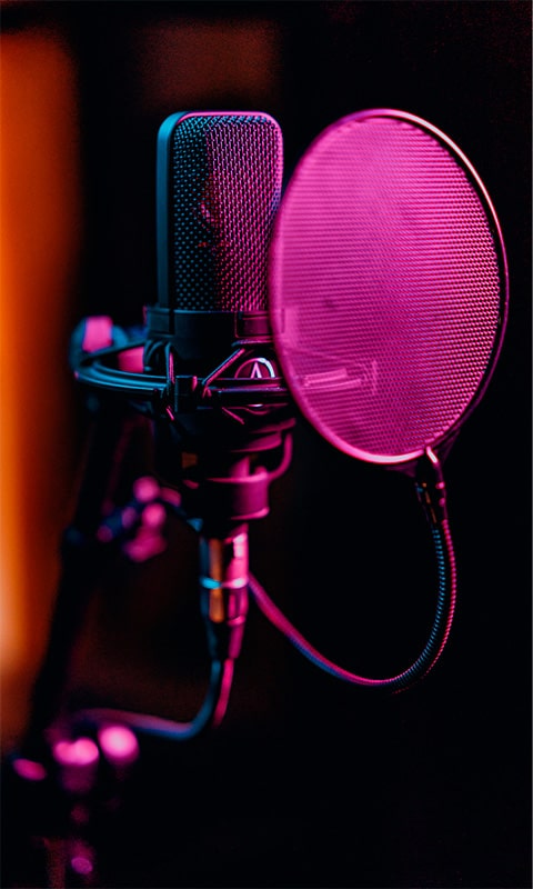 microphone